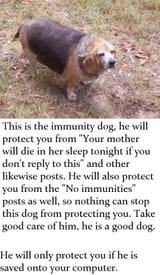 immunity doggo