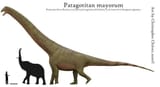 dont talk to me or my son ever again
