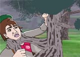 death by tree