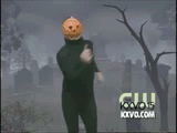giphy (2)