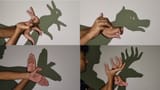 shadow