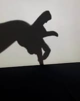 shadow 2