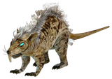 Giant_rat