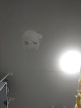 1720847614597405