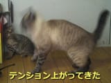 1740334043501394