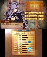 Fire Emblem Fates_28.06.25_22.59.51.238