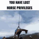 You_lost_horse_privileges