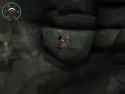 crow_thumb.jpg