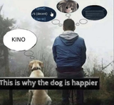 Kino dog