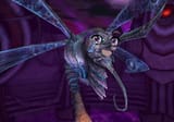 CHYKKA (ADULT) ON THE FRONT PAGE