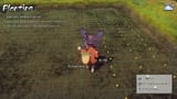 Rice_Planting_Grid