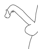 penor