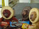 monke
