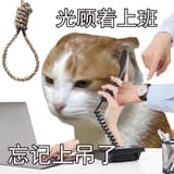 chinkGpwKqGXaYAIG3_R.jfif
