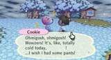 cookie