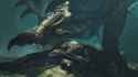 monsterhunter_thumb.jpg