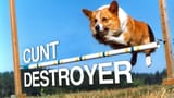 CuntDestroyer