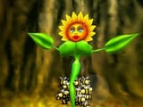 conkers sunflower boobs