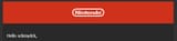 nintendousername