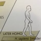 1751076279289986