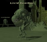livid seether