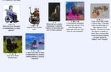 catalog