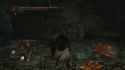 ds2kino_thumb.jpg