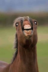 HORTH