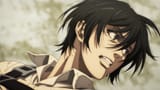mikasa