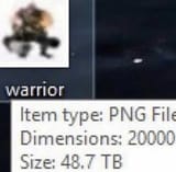 warrior