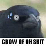 crowofshit