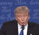 trump-wrong