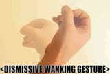 dismissive wanking gesture