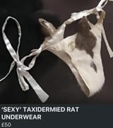 sexy-taxidermied-rat-underwear