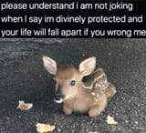 SacredDeer