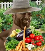 chad
