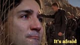 meme its afraid 1643802849441