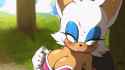 rouge3_thumb.jpg