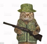 istockphoto-1087781740-1024x1024