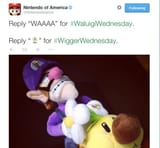 wiggerwednesday