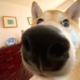 1725662779834877