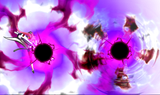 BBCP_BlackHole