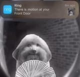 1729695943107557