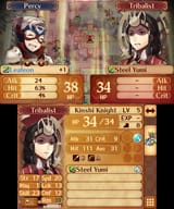 Fire Emblem Fates_29.06.25_18.21.09.407