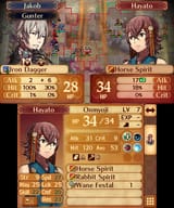 Fire Emblem Fates_29.06.25_18.27.32.666