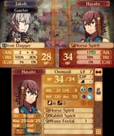 Fire Emblem Fates_29.06.25_18.34.39.961