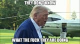 wtf