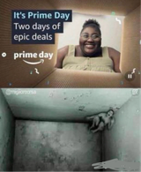 1744224771965680