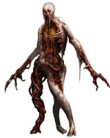 b34t