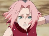 sakura tears